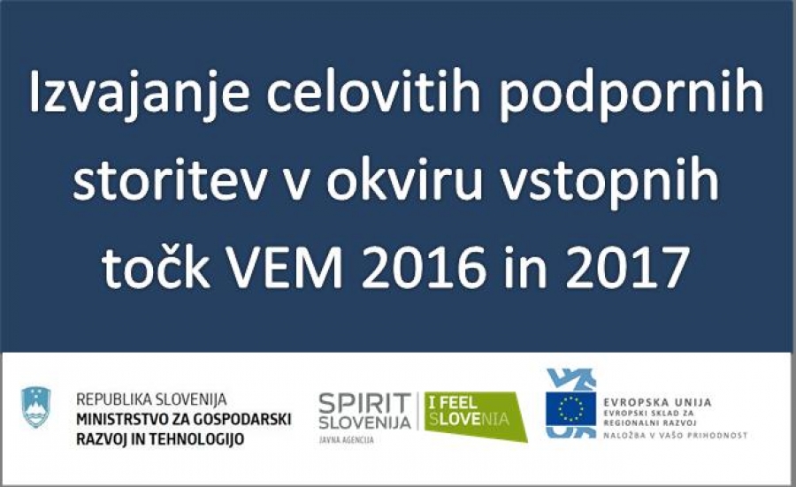 VEM 2016 - 2017 